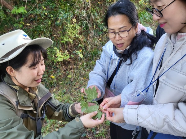 ffee181bf3cc79c2d7d6e27473a33ff1_1766557